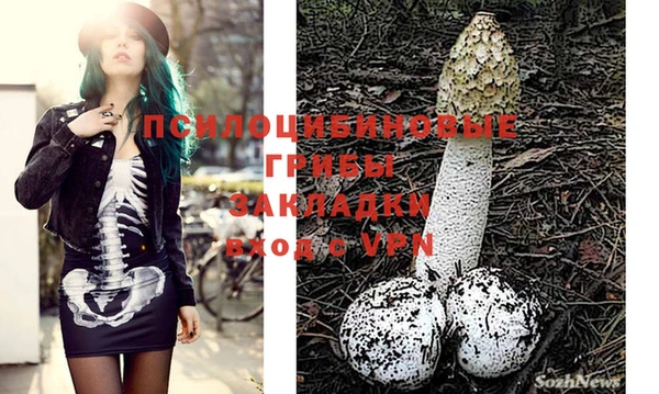 мескалин Богородицк