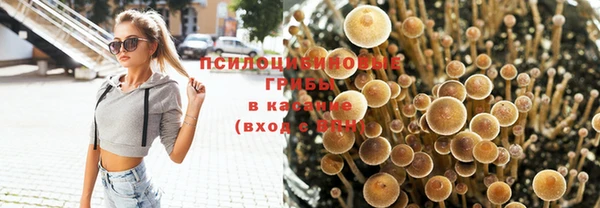 скорость Богданович